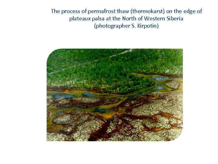 The process of permafrost thaw (thermokarst) on the edge of plateaux palsa at the