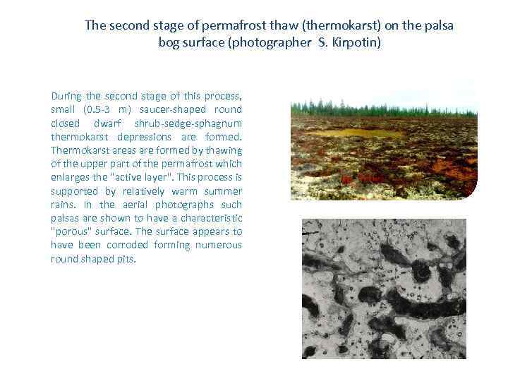 The second stage of permafrost thaw (thermokarst) on the palsa bog surface (photographer S.