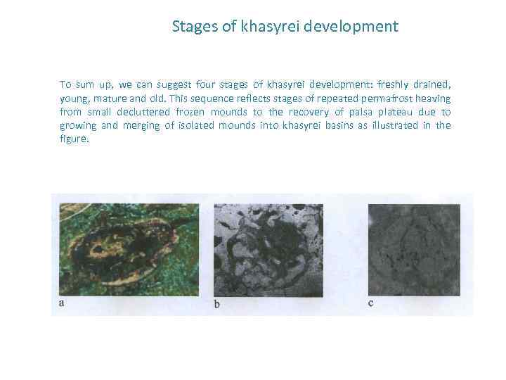 Stages of khasyrei development To sum up, we can suggest four stages of khasyrei