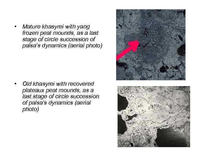  • Mature khasyrei with yang frozen peat mounds, as a last stage of