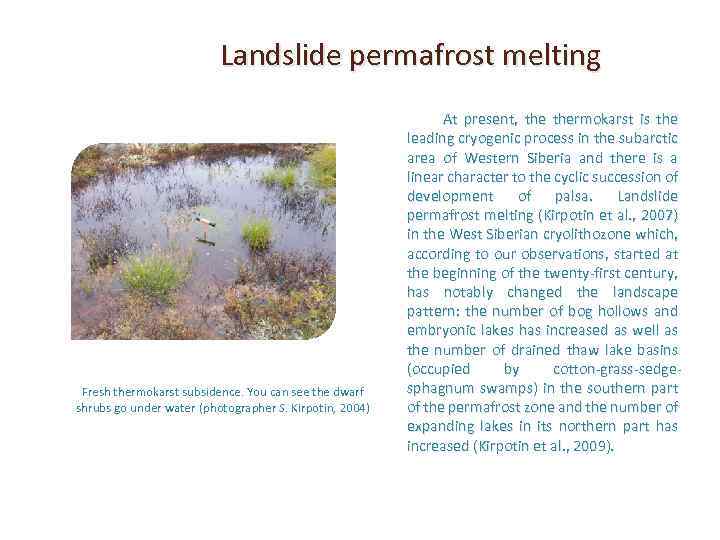 Landslide permafrost melting Fresh thermokarst subsidence. You can see the dwarf shrubs go under