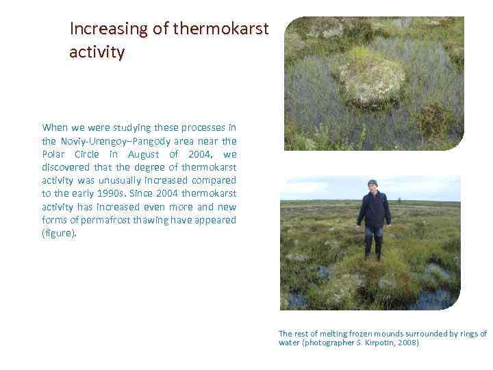 Increasing of thermokarst activity When we were studying these processes in the Noviy-Urengoy–Pangody area