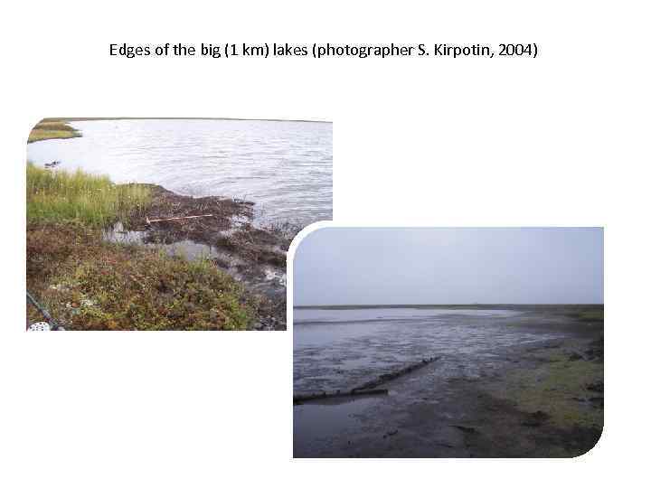 Edges of the big (1 km) lakes (photographer S. Kirpotin, 2004) 