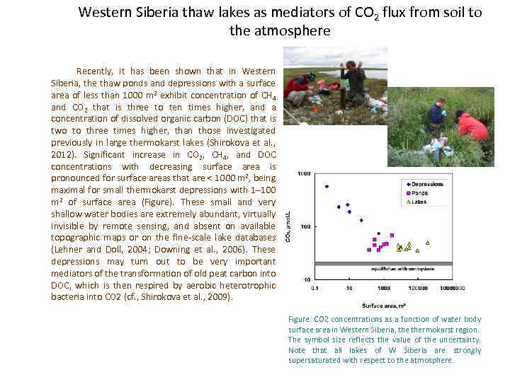 Western Siberia thaw lakes as mediators of CO 2 flux from soil to the