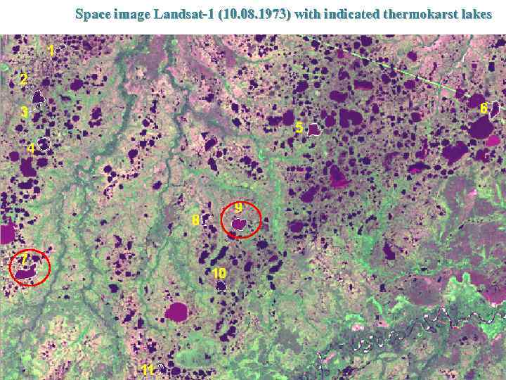 Space image Landsat-1 (10. 08. 1973) with indicated thermokarst lakes 