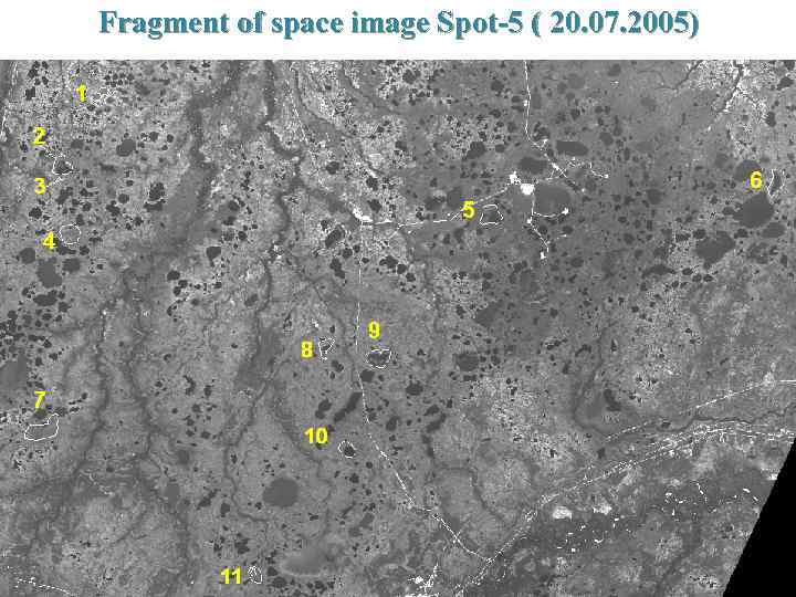 Fragment of space image Spot-5 ( 20. 07. 2005) 