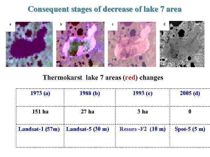 Consequent stages of decrease of lake 7 area a b c d Thermokarst lake