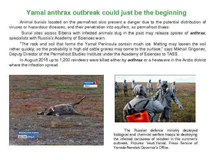 Yamal anthrax outbreak could just be the beginning Animal burials located on the permafrost