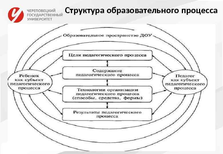 Структура образовательного процесса 