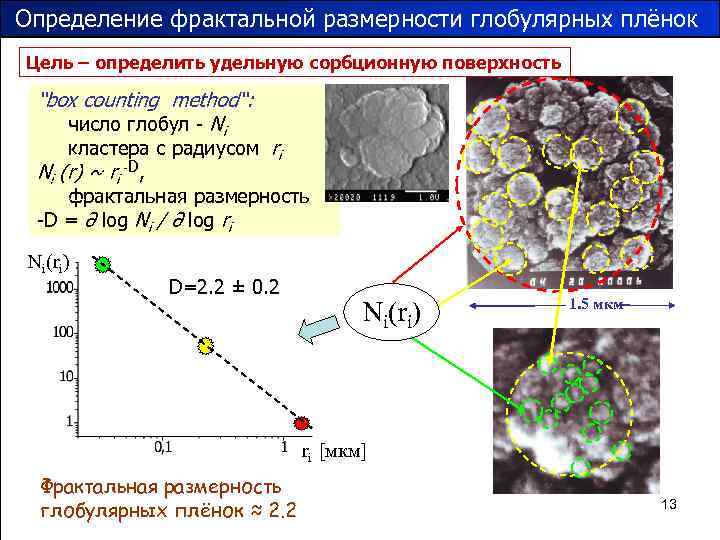 Определение фрактальной размерности глобулярных плёнок Цель – определить удельную сорбционную поверхность “box counting method“: