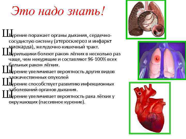 Это надо знать! Ш Курение поражает органы дыхания, сердечнососудистую систему (атеросклероз и инфаркт миокарда),