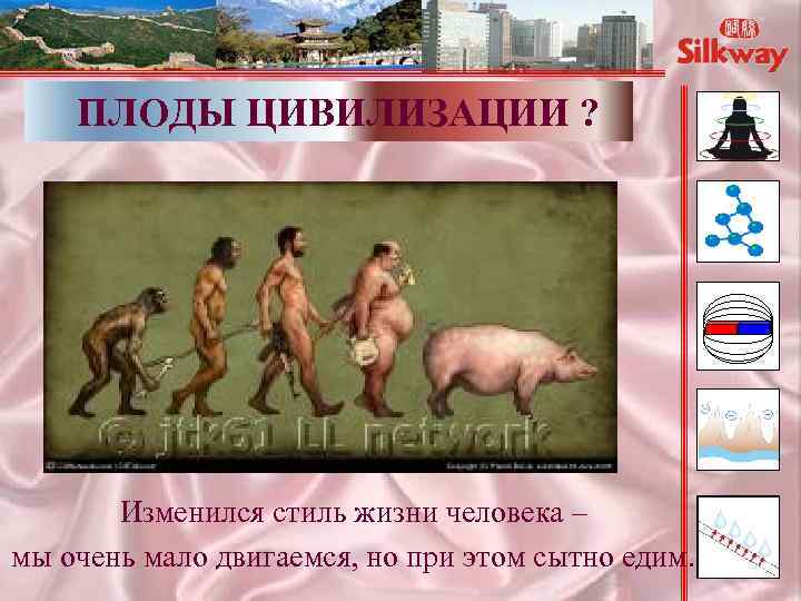 ПЛОДЫ ЦИВИЛИЗАЦИИ ? Изменился стиль жизни человека – мы очень мало двигаемся, но при