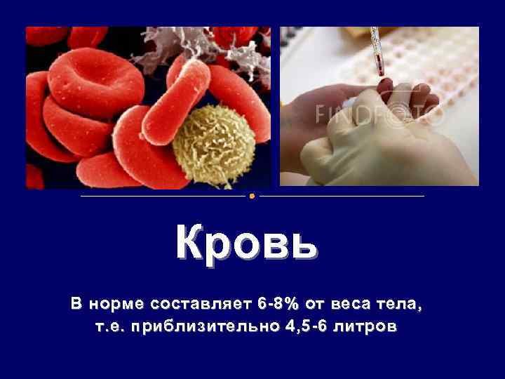 Кровь В норме составляет 6 -8% от веса тела, т. е. приблизительно 4, 5