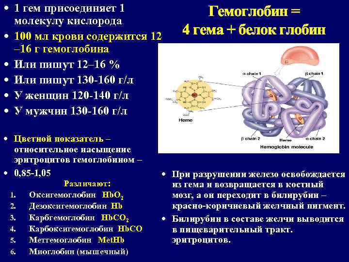  1 гем присоединяет 1 молекулу кислорода 100 мл крови содержится 12 – 16