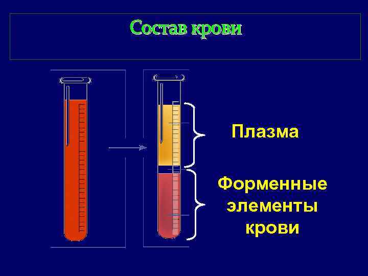 Состав крови Плазма Форменные элементы крови 