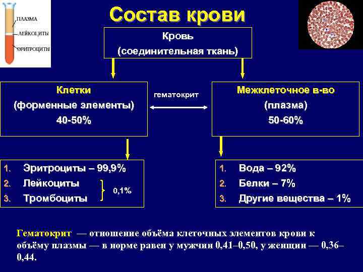 Состав крови Кровь (соединительная ткань) Клетки (форменные элементы) Межклеточное в-во (плазма) гематокрит 40 -50%
