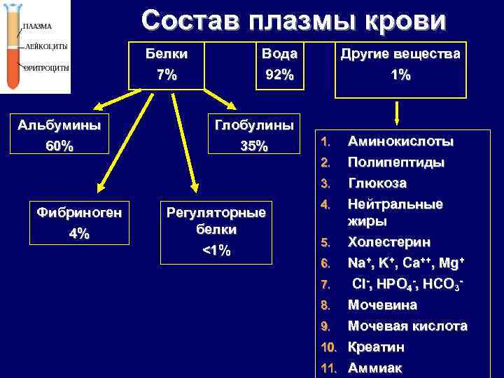 Состав плазмы крови Белки 7% Альбумины 60% Вода 92% Глобулины 35% Другие вещества 1%
