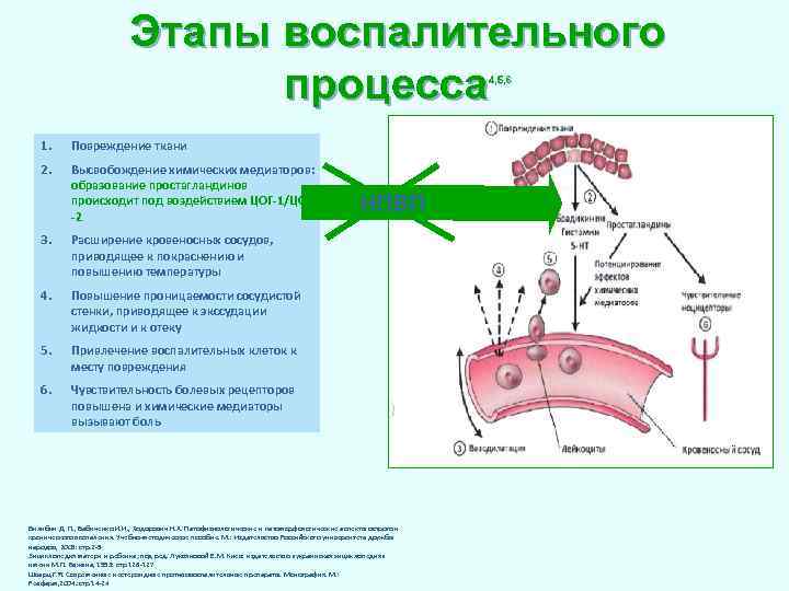 Этапы воспалительного процесса 4, 5, 6 1. Повреждение ткани 2. Высвобождение химических медиаторов: образование