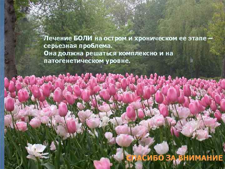 Лечение БОЛИ на остром и хроническом ее этапе – серьезная проблема. Она должна решаться