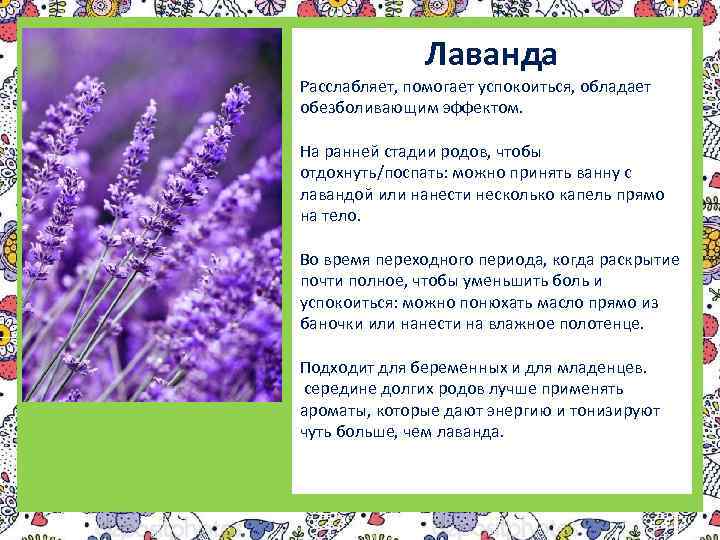 Лаванда Расслабляет, помогает успокоиться, обладает обезболивающим эффектом. На ранней стадии родов, чтобы отдохнуть/поспать: можно
