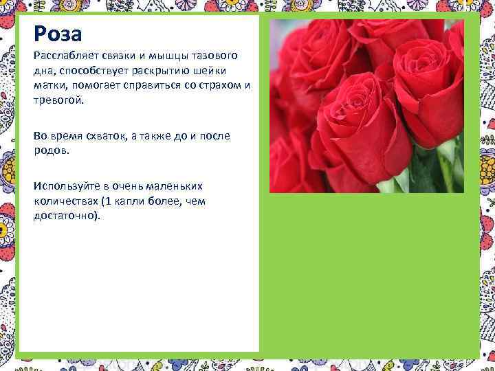 Роза Расслабляет связки и мышцы тазового дна, способствует раскрытию шейки матки, помогает справиться со