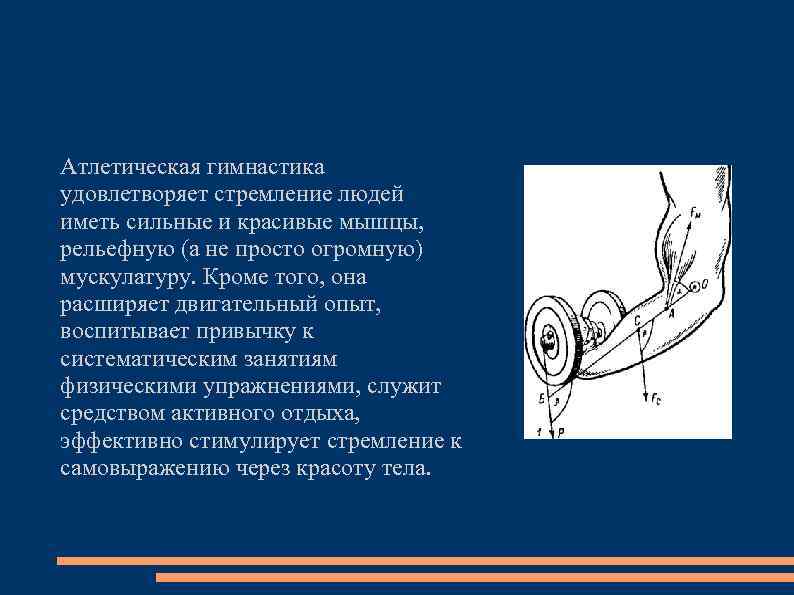 Атлетическая гимнастика удовлетворяет стремление людей иметь сильные и красивые мышцы, рельефную (а не просто