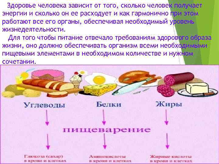 Здоровье человека зависит от того, сколько человек получает энергии и сколько он ее расходует