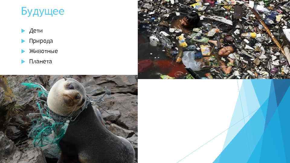 Будущее Дети Природа Животные Планета 