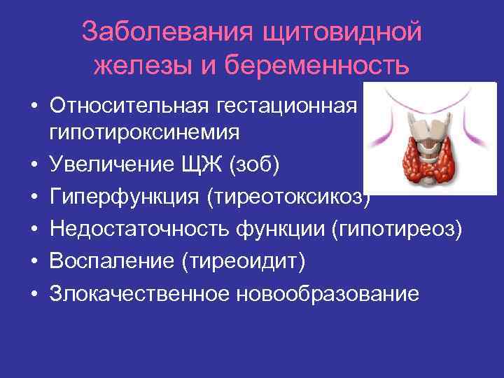 Заболевания щитовидной железы и беременность • Относительная гестационная гипотироксинемия • Увеличение ЩЖ (зоб) •