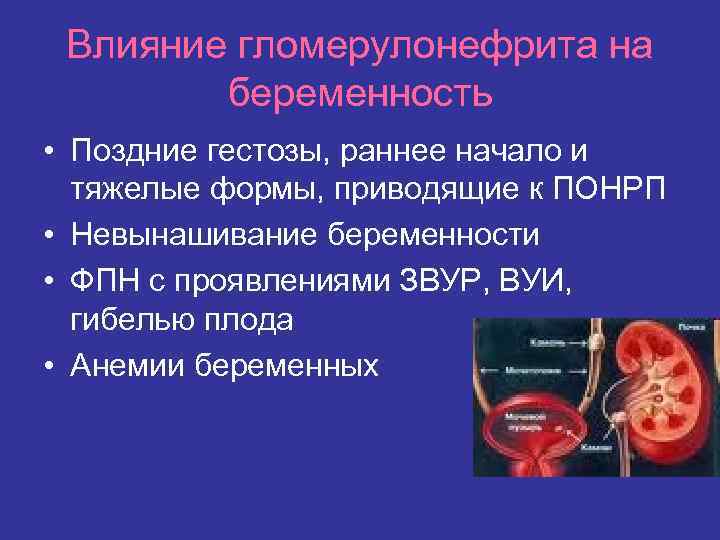 Влияние гломерулонефрита на беременность • Поздние гестозы, раннее начало и тяжелые формы, приводящие к