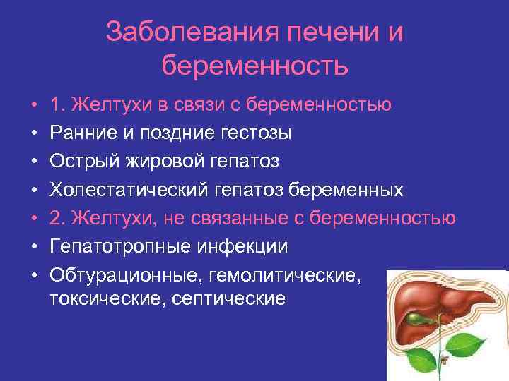 Заболевания печени и беременность • • 1. Желтухи в связи с беременностью Ранние и