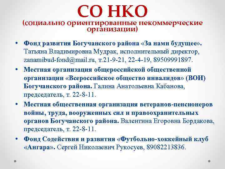 СО НКО (социально ориентированные некоммерческие организации) • Фонд развития Богучанского района «За нами будущее»