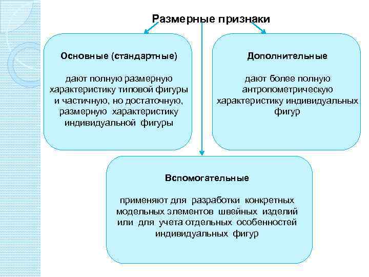 Размерные признаки Основные (стандартные) Дополнительные дают полную размерную характеристику типовой фигуры и частичную, но