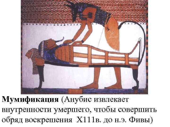Мумификация (Анубис извлекает внутренности умершего, чтобы совершить обряд воскрешения Х 111 в. до н.
