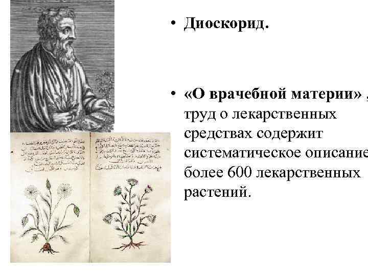  • Диоскорид. • «О врачебной материи» , труд о лекарственных средствах содержит систематическое