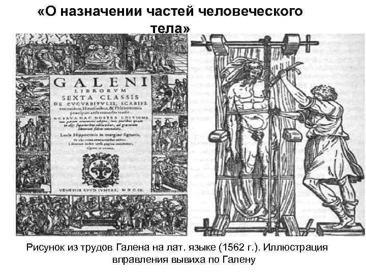  «О назначении частей человеческого тела» Рисунок из трудов Галена на лат. языке (1562