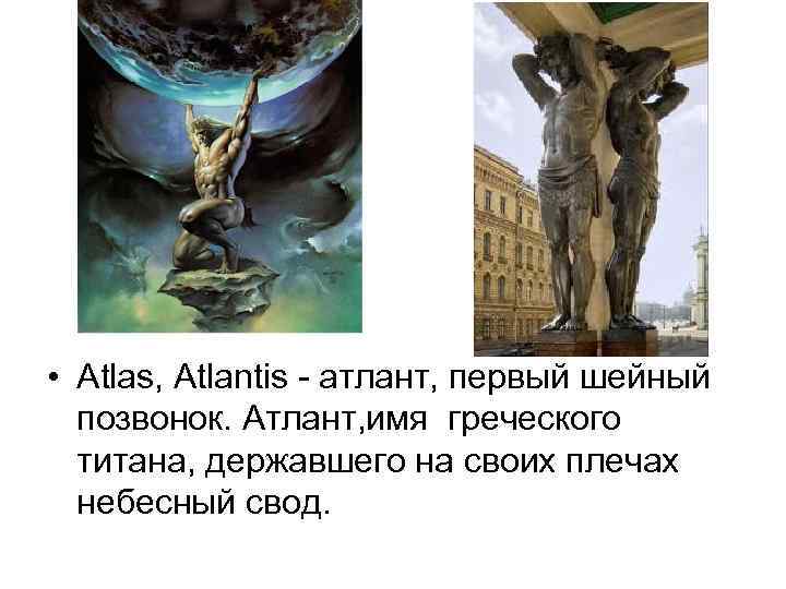  • Atlas, Atlantis атлант, первый шейный позвонок. Атлант, имя греческого титана, державшего на