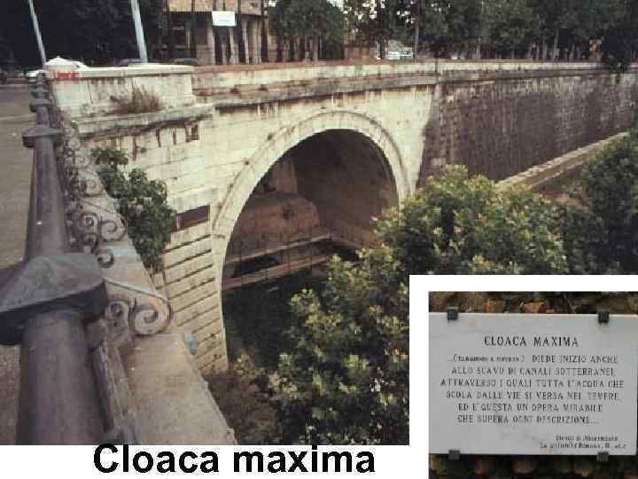 клоака Cloaca maxima 