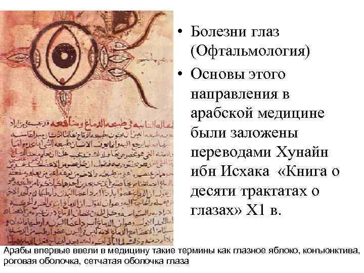  • Болезни глаз (Офтальмология) • Основы этого направления в арабской медицине были заложены