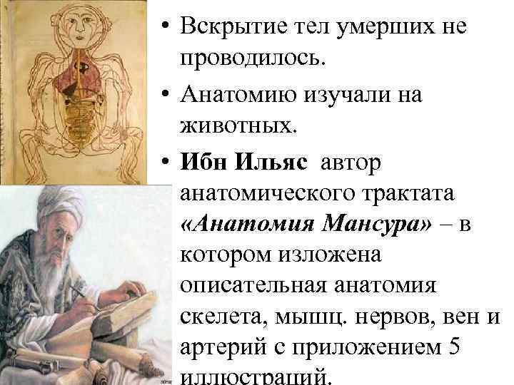  • Вскрытие тел умерших не проводилось. • Анатомию изучали на животных. • Ибн