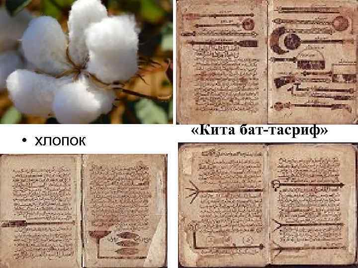  • хлопок «Кита бат-тасриф» 