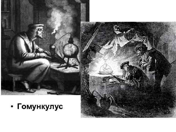  • Гомункулус 