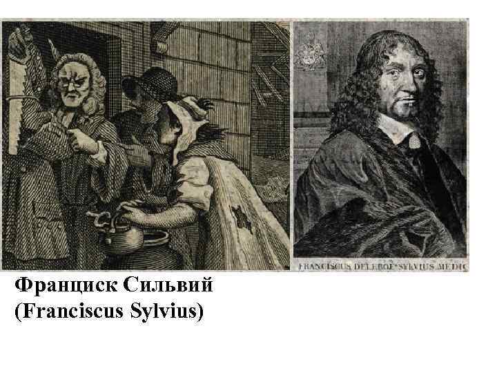 Франциск Сильвий (Franciscus Sylvius) 