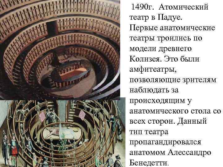  1490 г. Атомический театр в Падуе. Первые анатомические театры троились по модели древнего
