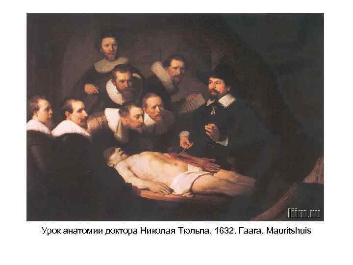 Урок анатомии доктора Николая Тюльпа. 1632. Гаага. Mauritshuis 