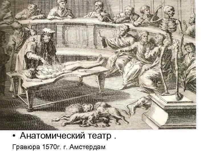 • Анатомический театр. Гравюра 1570 г. г. Амстердам 