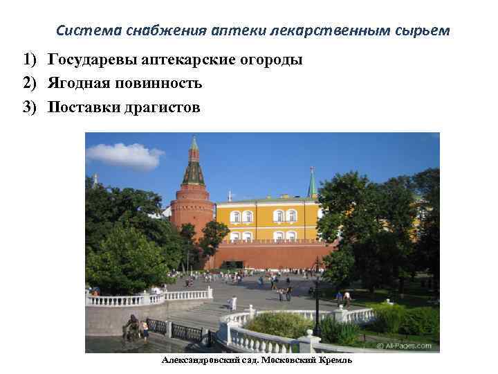 Система снабжения аптеки лекарственным сырьем 1) Государевы аптекарские огороды 2) Ягодная повинность 3) Поставки