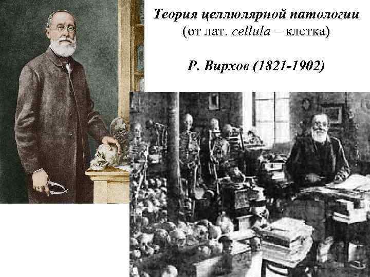 Теория целлюлярной патологии (от лат. cellula – клетка) Р. Вирхов (1821 -1902) ) 