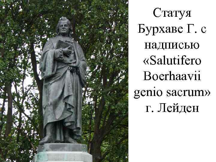  • Статуя Бурхаве Г. с надписью «Salutifero Boerhaavii genio sacrum» г. Лейден 