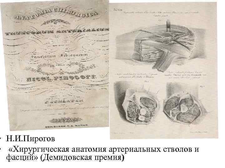  • Н. И. Пирогов • «Хирургическая анатомия артериальных стволов и фасций» (Демидовская премия)